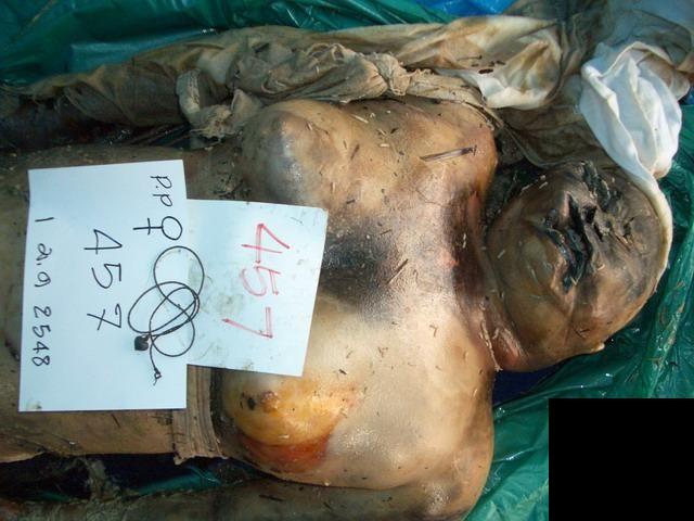 103277d1258214300-big-collection-dead-women-neuer-ordner52cv-11.jpg