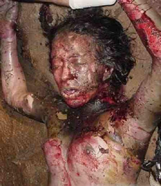 103285d1258214421-big-collection-dead-women-neuer-ordner190002514-6.jpg