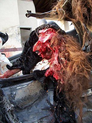 nicole-catsouras-lost-control-porsche-hits-toll-booth-gory-pictures-6.jpg