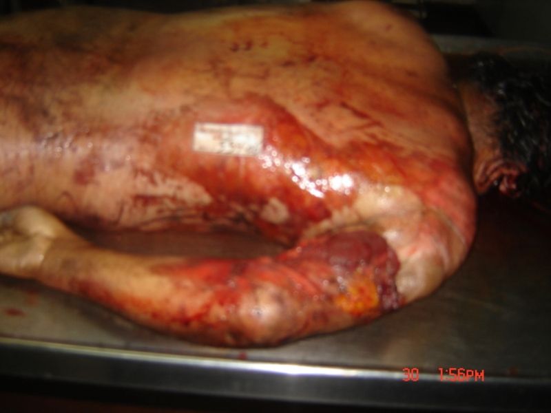 �y0,,0�z �O�������X�� Part110 �y0,,0�zYouTube����>34�{ �j�R�j�R����>3�{ �摜>190�� 