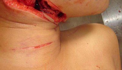 family-murdered-loansharks-pic08492.jpg