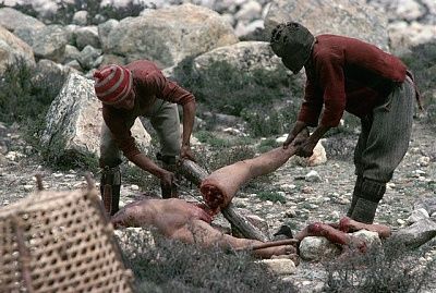 real-sky-burial-images-saw4.jpg