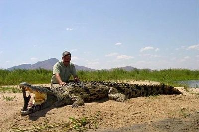 two-men-kill-crocodile-find-body-parts-stomach-crocodilesnack1.jpg