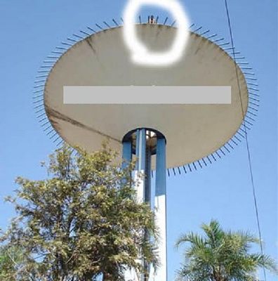 suicide-satellite-dish-suicide-satellite-dish1.jpg