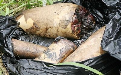 man-murdered-placed-plastic-bag-23.jpg