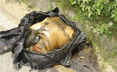 man-murdered-placed-plastic-bag-24.jpg