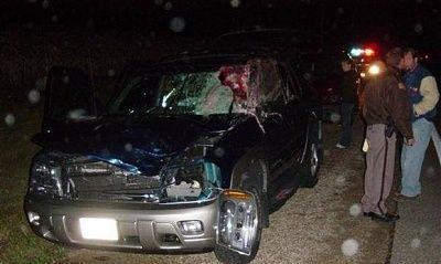 deer-jumps-through-windshield-moving-car-01.jpg