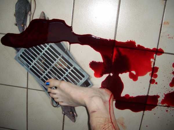 Gory Pictures and Video