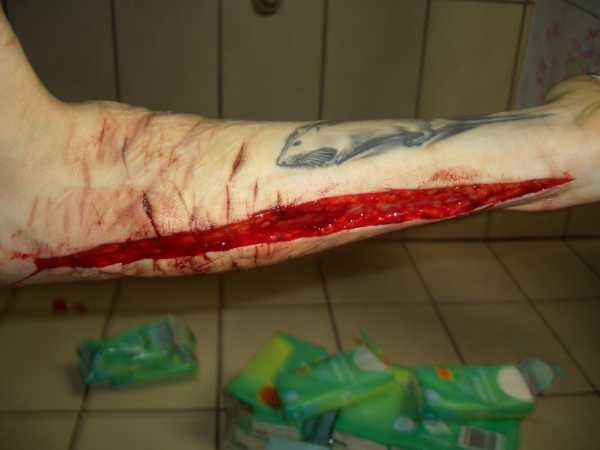 Gory Pictures and Video