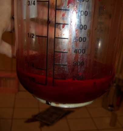 Gory Pictures and Video