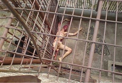 man-falls-into-bears-cage-bild2.jpg