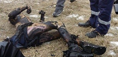 nasty-car-accident-crash-car2.jpg