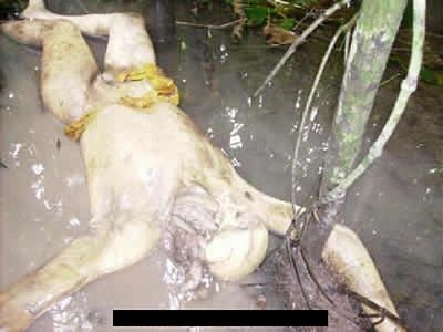 pedophile-killed-dumped-swamp-wet2.jpg