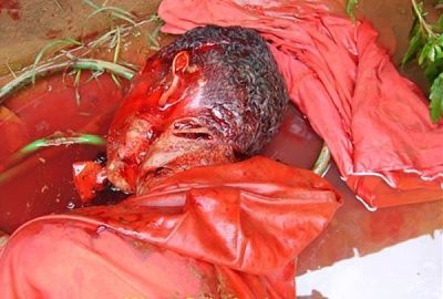 no-information-but-pretty-gory-1.jpg