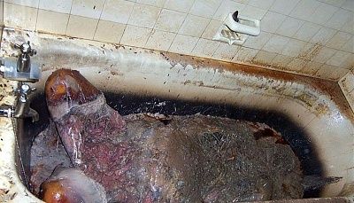 boiled-man-3089004019_ab8d643c6d_o.jpg