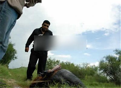 torture-mutilation-47.jpg