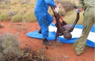 man-found-rotting-under-his-truck-rotting-under-truck.jpg-2.jpg