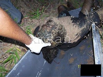 maggot-man-found-woods-6dz42372.jpg
