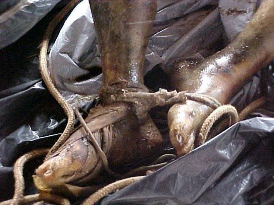 43972d1239415155-two-bodies-inside-bags-wash-ashore-0-6-.jpg