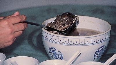 book-talks-about-chinese-fetal-soup-20011016unv020097006.jpg
