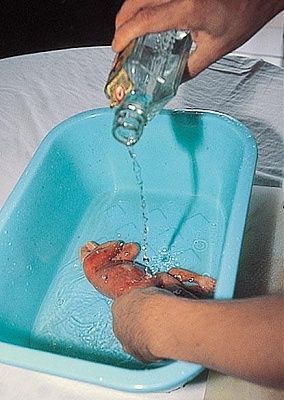 book-talks-about-chinese-fetal-soup-20011016unv020097008.jpg