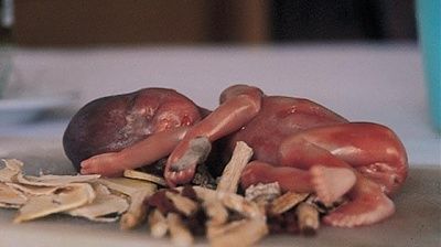 book-talks-about-chinese-fetal-soup-20011016unv020097009.jpg