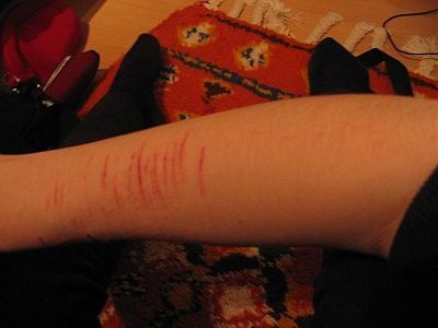 alison-cutter-alison_15.jpg