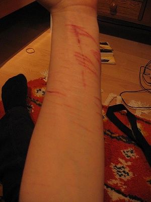 alison-cutter-alison_17.jpg