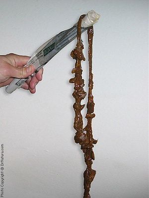 colon-cleansing-aftermath-colon_cleanse_lg100.jpg