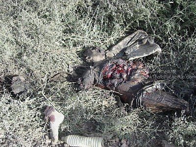 man-cooked-killed-orig_12_june_04__2__192_938.jpg