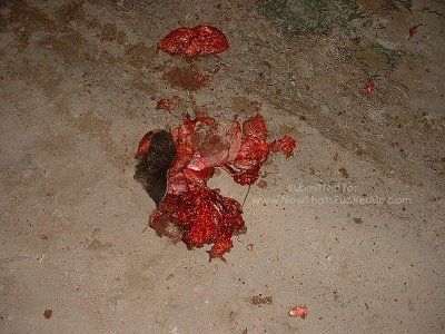 aftermath-grenade-orig_dscf0037_274_413_535_520.jpg