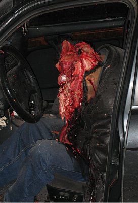 shot-through-windshield-orig_img_0282sm_409.jpg