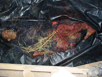 had-scooped-up-orig_kia_rpg_attackers__1_.jpg