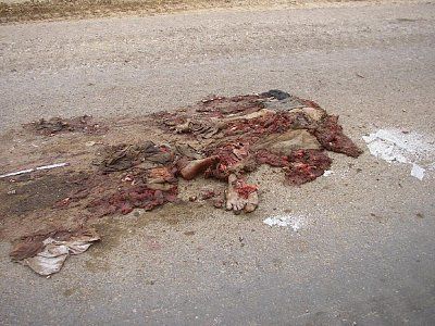 iraqi-pancake-orig_pancake_197_113.jpg