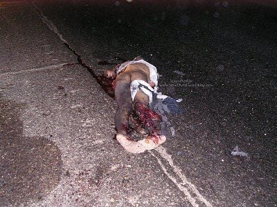 need-some-road-cleanup-orig_picture_001_487_384.jpg
