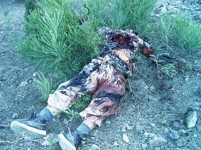 random-casualties-iraq-orig_puc10_169.jpg