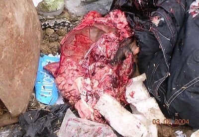 tried-throw-grenade-us-convoy-trytotrhow4.jpg