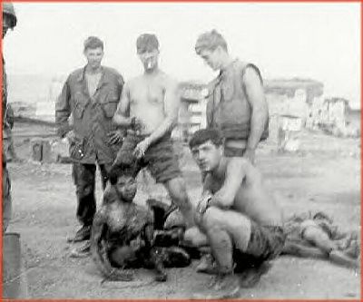 vietnam-war-trophy-photos-nam-26.jpg