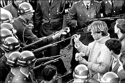 flower-power-photograph-flowers-guns.jpg