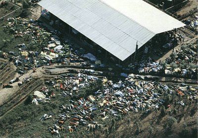 jonestown-massacre-photos-jonestown_1.jpg