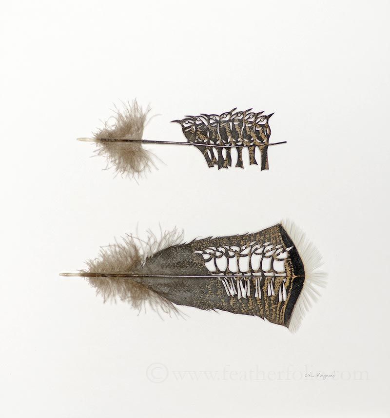 505948d1388938838-art-cutting-feathers-feather-cutting-art-chris-maynard-featherfolio-3.jpg