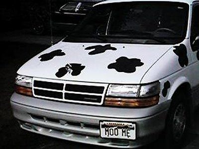 54-cow-cars-all-around-world-cow-car-4.jpg