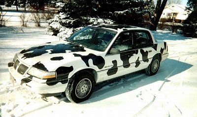 54-cow-cars-all-around-world-cow-car-16.jpg
