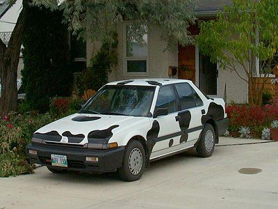 54-cow-cars-all-around-world-cow-car-17.jpg