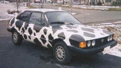 54-cow-cars-all-around-world-cow-car-24.jpg