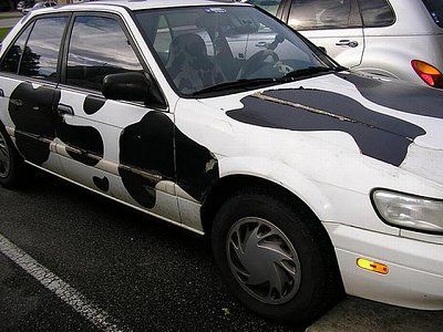 54-cow-cars-all-around-world-cow-car-28.jpg