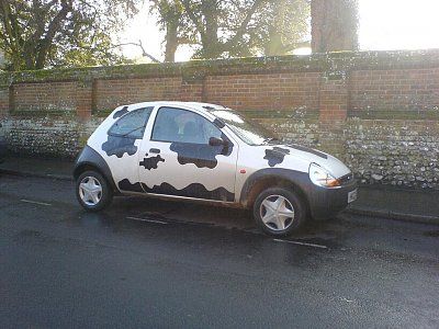 54-cow-cars-all-around-world-cow-car-32.jpg