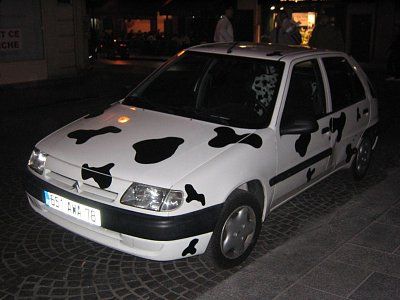 54-cow-cars-all-around-world-cow-car-33.jpg