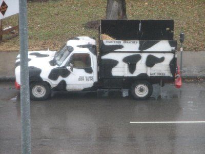 54-cow-cars-all-around-world-cow-car-40.jpg
