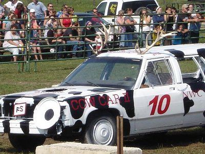 54-cow-cars-all-around-world-cow-car-43.jpg
